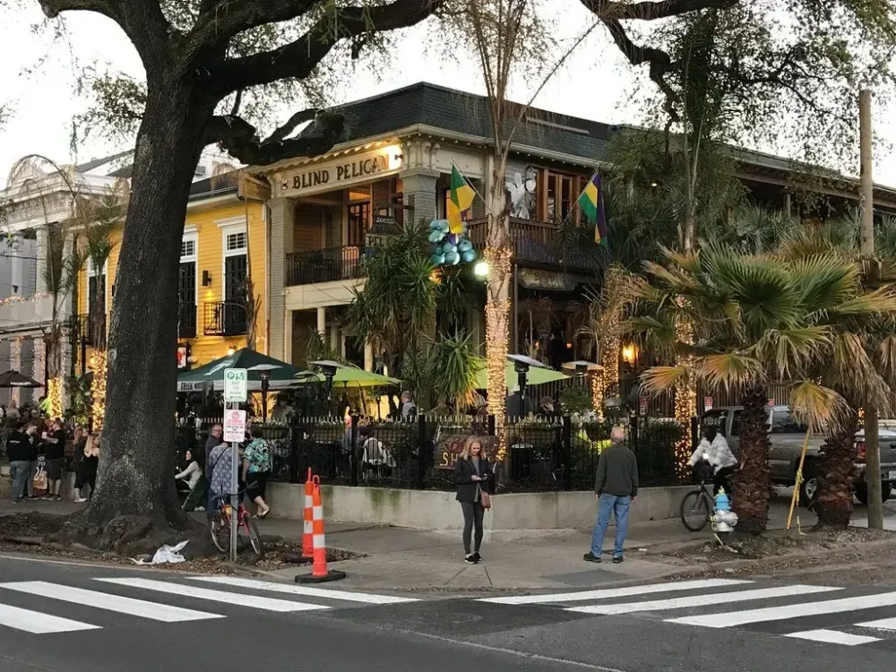 Samuel's blind pelican